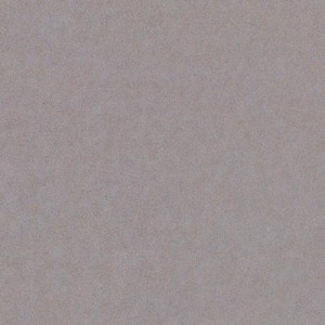 Gạch lát sàn Trường Thịnh COOLSTONE C6213